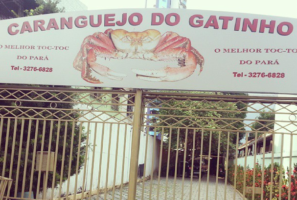 Restaurante  Caranguejo do Gatinho Estrela